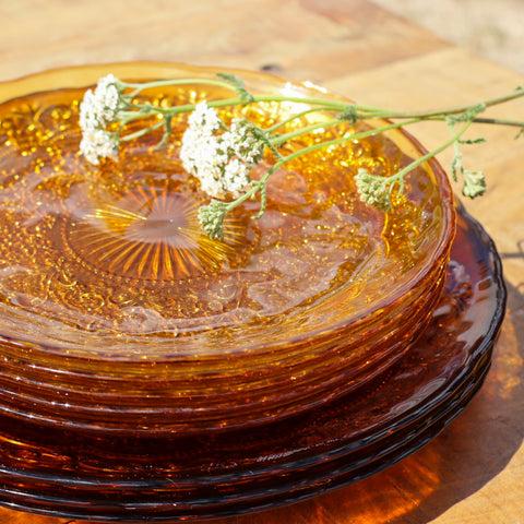 Evening Primrose Glass Plates - Amber