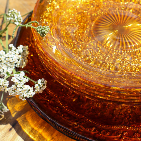 Evening Primrose Glass Plates - Amber