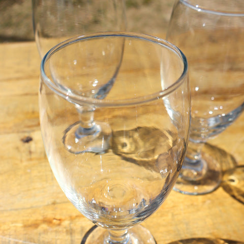 Carnation Water Goblet