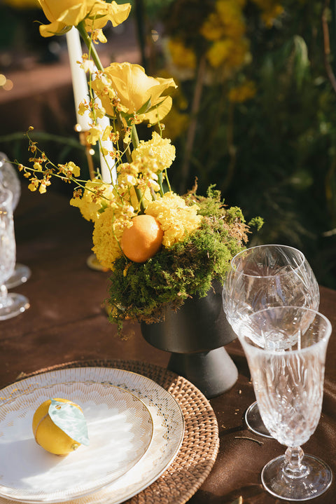 Calendula Plates