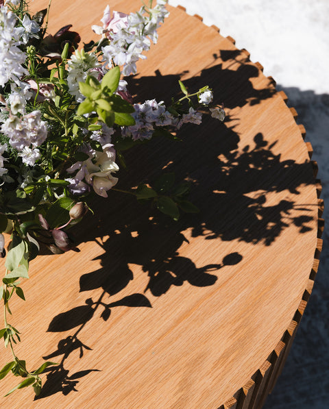 Mountain Alder Coffee Table
