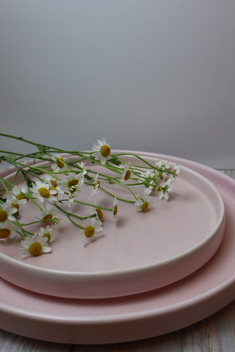 Painted Daisy Ceramic Plates - Peony